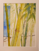„Bambus“,  Aquarell 32x25 cm inkl. Passepartout 50x40 cm, 250,- €