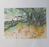„Olivenhain“, Aquarell  25x32 cm, inkl. Passepartout 40x50 cm, 250,- €
