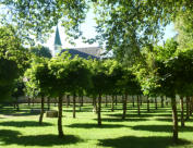 Malreise Kloster Heiligkreuztal, Malen im Kloster, Malkurs im Kloster