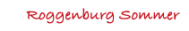 Roggenburg Sommer